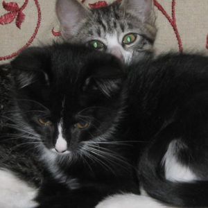 Meet your Posher, Sandra